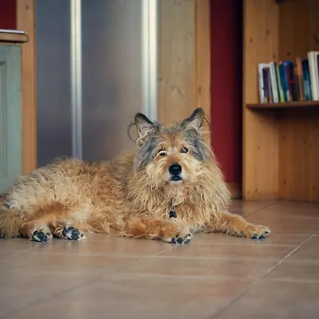 Hotel Garni San Giorgio