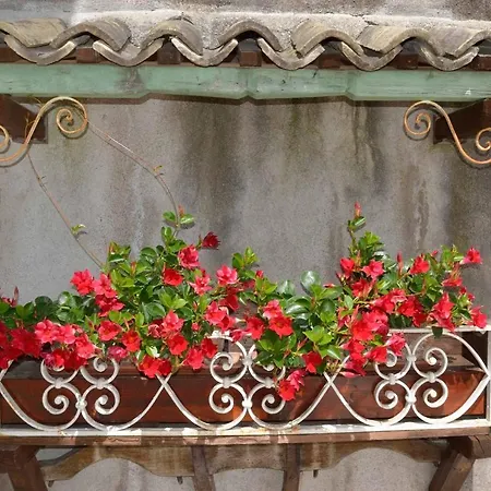 Hotel Garni San Giorgio فندق 3*