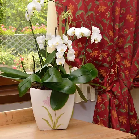 Hotel Garni San Giorgio فندق 3*